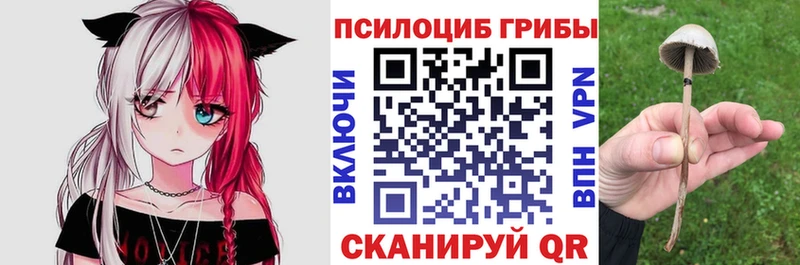дарнет шоп  кракен tor  Псилоцибиновые грибы мицелий  Чкаловск 